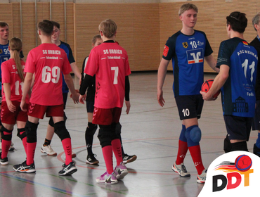 DDT Vereine bei Deutscher Tchoukball Meisterschaft DTBV